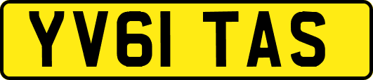 YV61TAS
