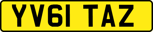 YV61TAZ