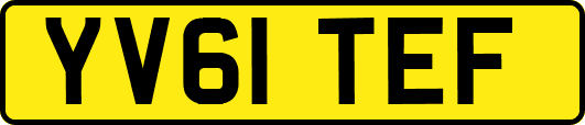 YV61TEF
