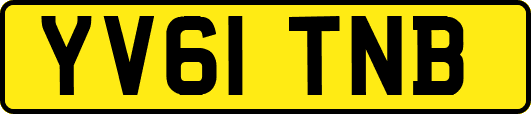 YV61TNB