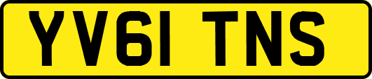 YV61TNS