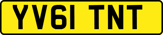 YV61TNT