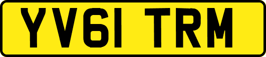 YV61TRM
