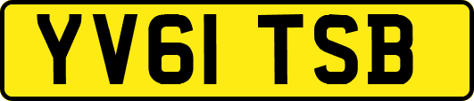 YV61TSB