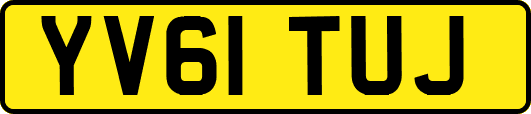 YV61TUJ