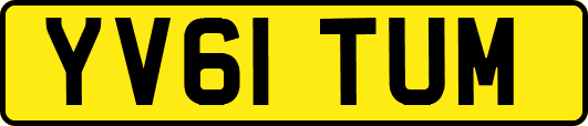 YV61TUM