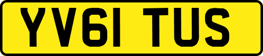YV61TUS