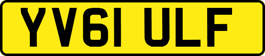 YV61ULF