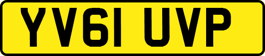YV61UVP
