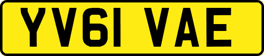 YV61VAE