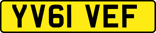 YV61VEF
