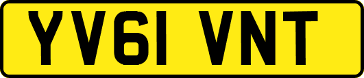 YV61VNT