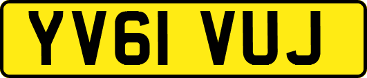 YV61VUJ