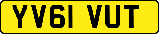YV61VUT