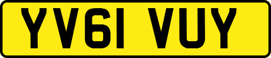 YV61VUY