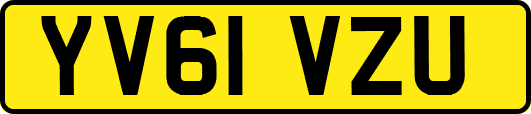YV61VZU