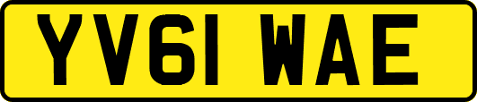 YV61WAE