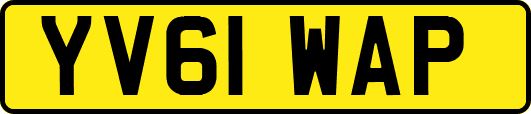 YV61WAP