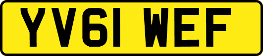 YV61WEF