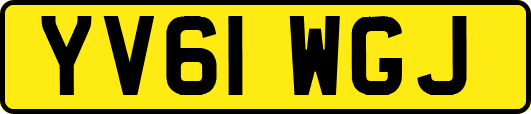 YV61WGJ