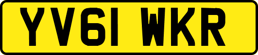 YV61WKR