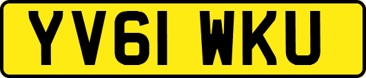 YV61WKU