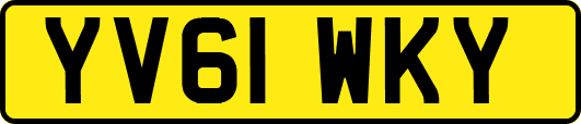 YV61WKY