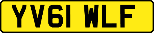 YV61WLF