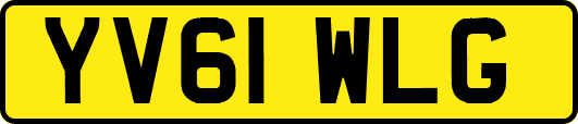 YV61WLG
