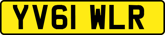 YV61WLR