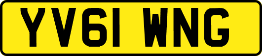 YV61WNG