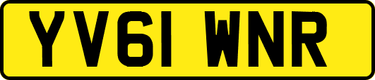YV61WNR