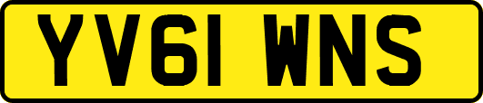 YV61WNS