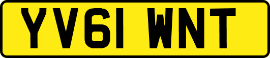 YV61WNT