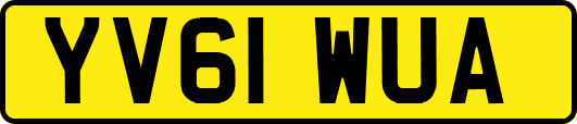 YV61WUA