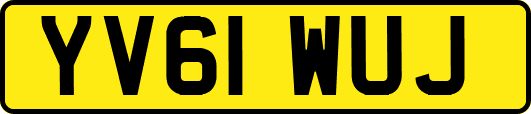 YV61WUJ