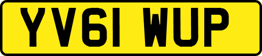 YV61WUP