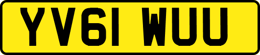 YV61WUU