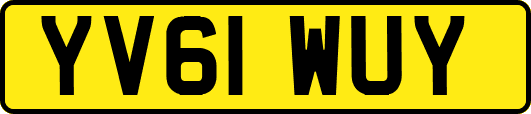 YV61WUY