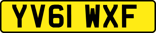 YV61WXF