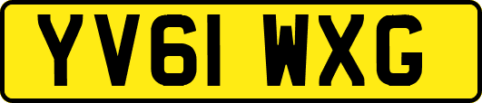 YV61WXG