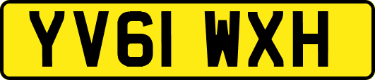 YV61WXH