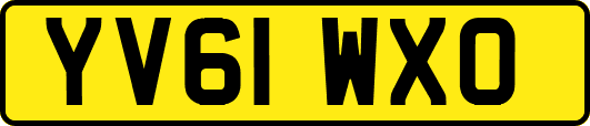 YV61WXO