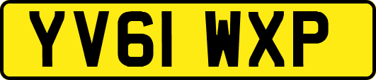 YV61WXP