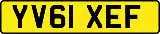 YV61XEF
