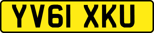 YV61XKU