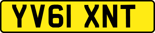 YV61XNT