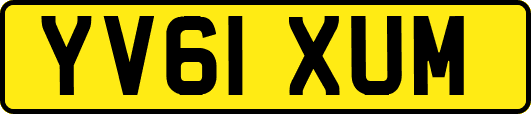 YV61XUM