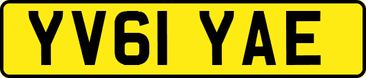 YV61YAE