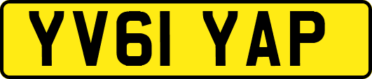YV61YAP